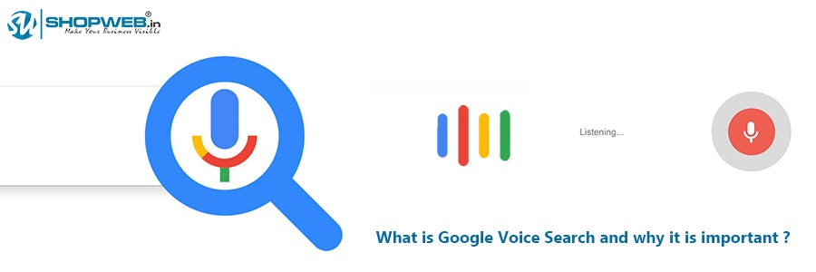 What Is Google Voice Search And Why It Is Important | Shopweb